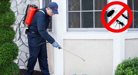 Ömerli Hamam Böceği İlaçlama böcek ilaçlama ve haşere kontrolü — ilaclama-tr.com